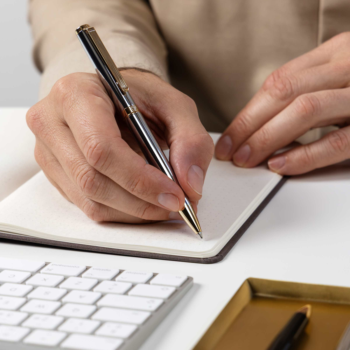 Scriveiner Premium Daily Silver Gold Ballpoint Pen